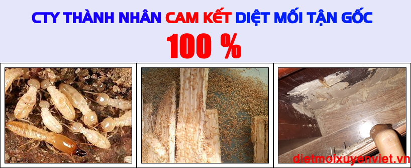 diet moi tai quy nhon
